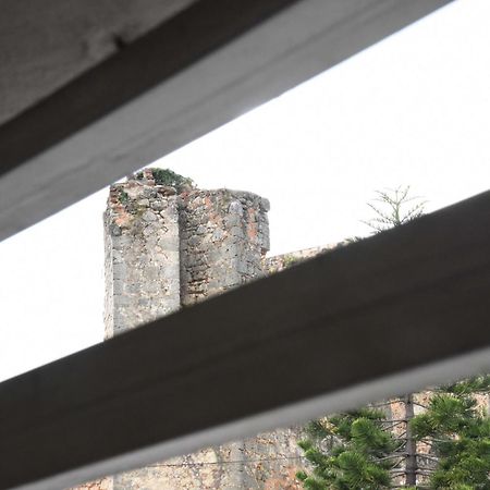 Hostel Gato Colonial سانتو دومينجو المظهر الخارجي الصورة