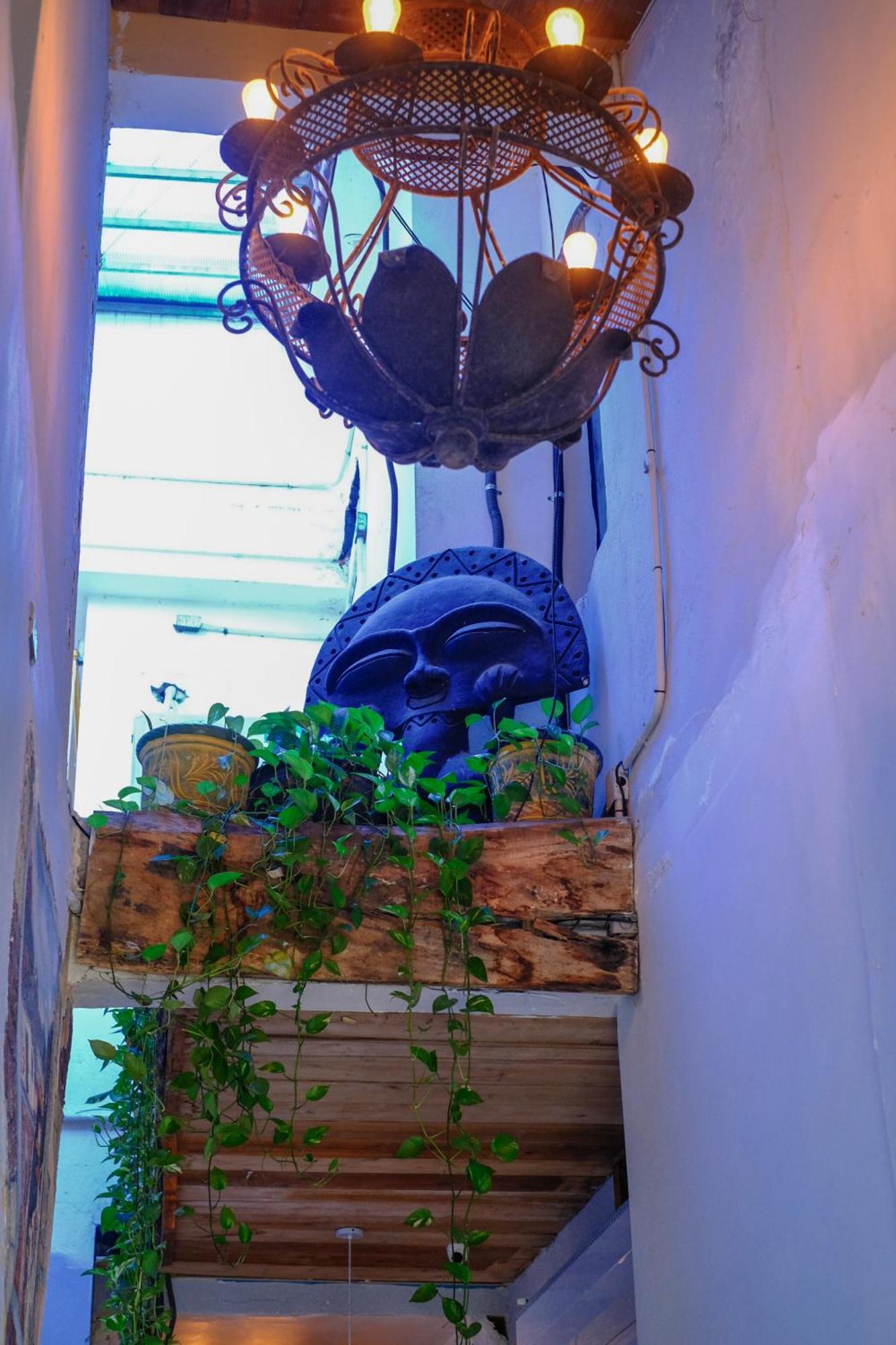 Hostel Gato Colonial سانتو دومينجو المظهر الخارجي الصورة