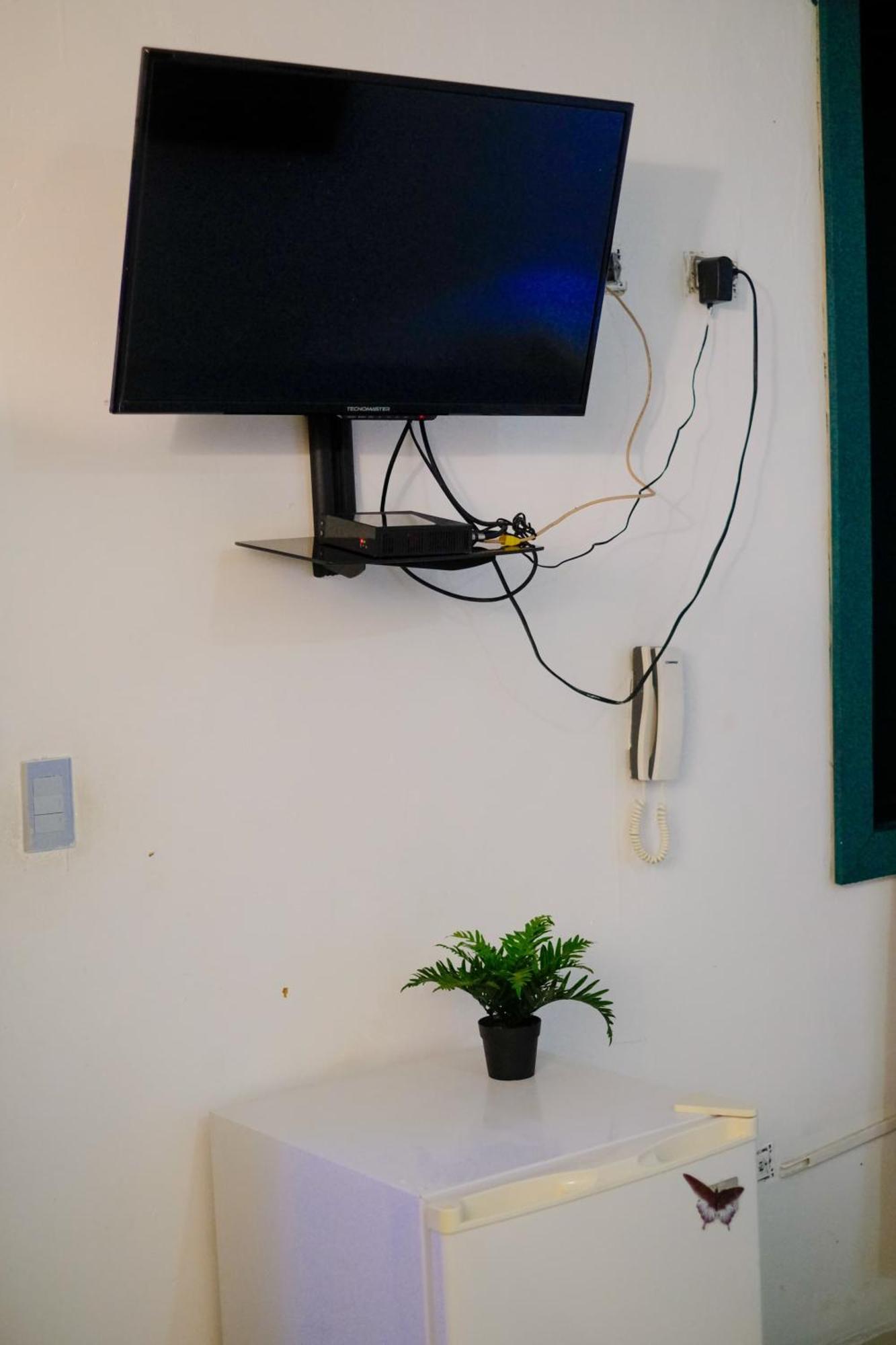 Hostel Gato Colonial سانتو دومينجو المظهر الخارجي الصورة