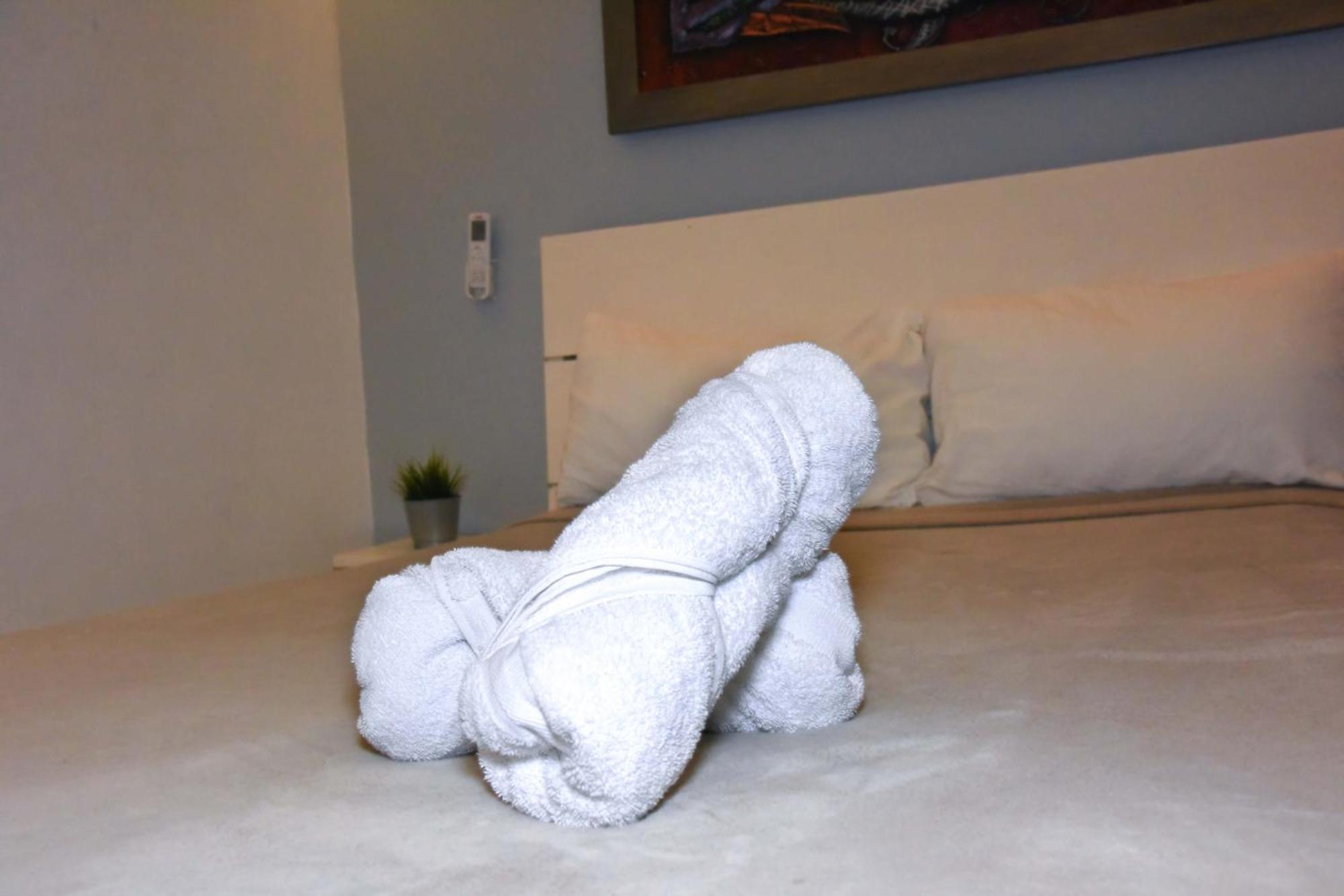 Hostel Gato Colonial سانتو دومينجو المظهر الخارجي الصورة