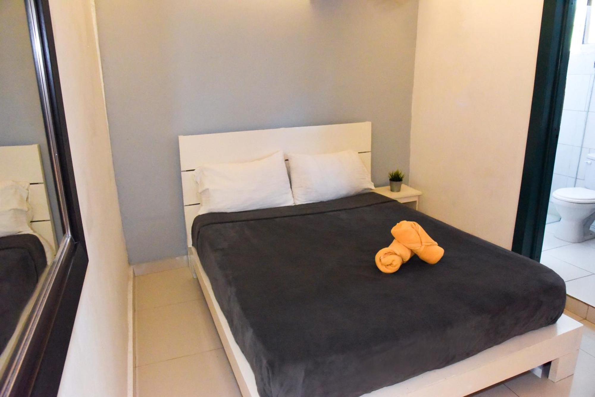Hostel Gato Colonial سانتو دومينجو المظهر الخارجي الصورة
