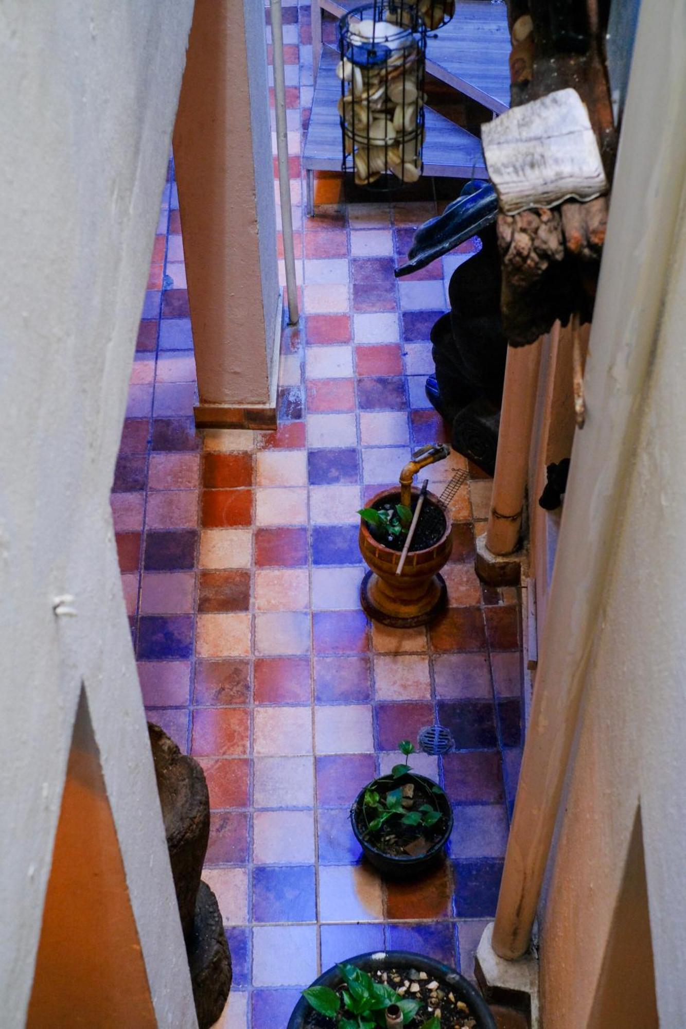 Hostel Gato Colonial سانتو دومينجو المظهر الخارجي الصورة