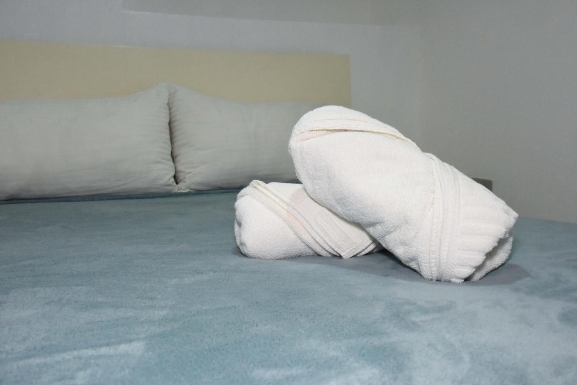 Hostel Gato Colonial سانتو دومينجو المظهر الخارجي الصورة
