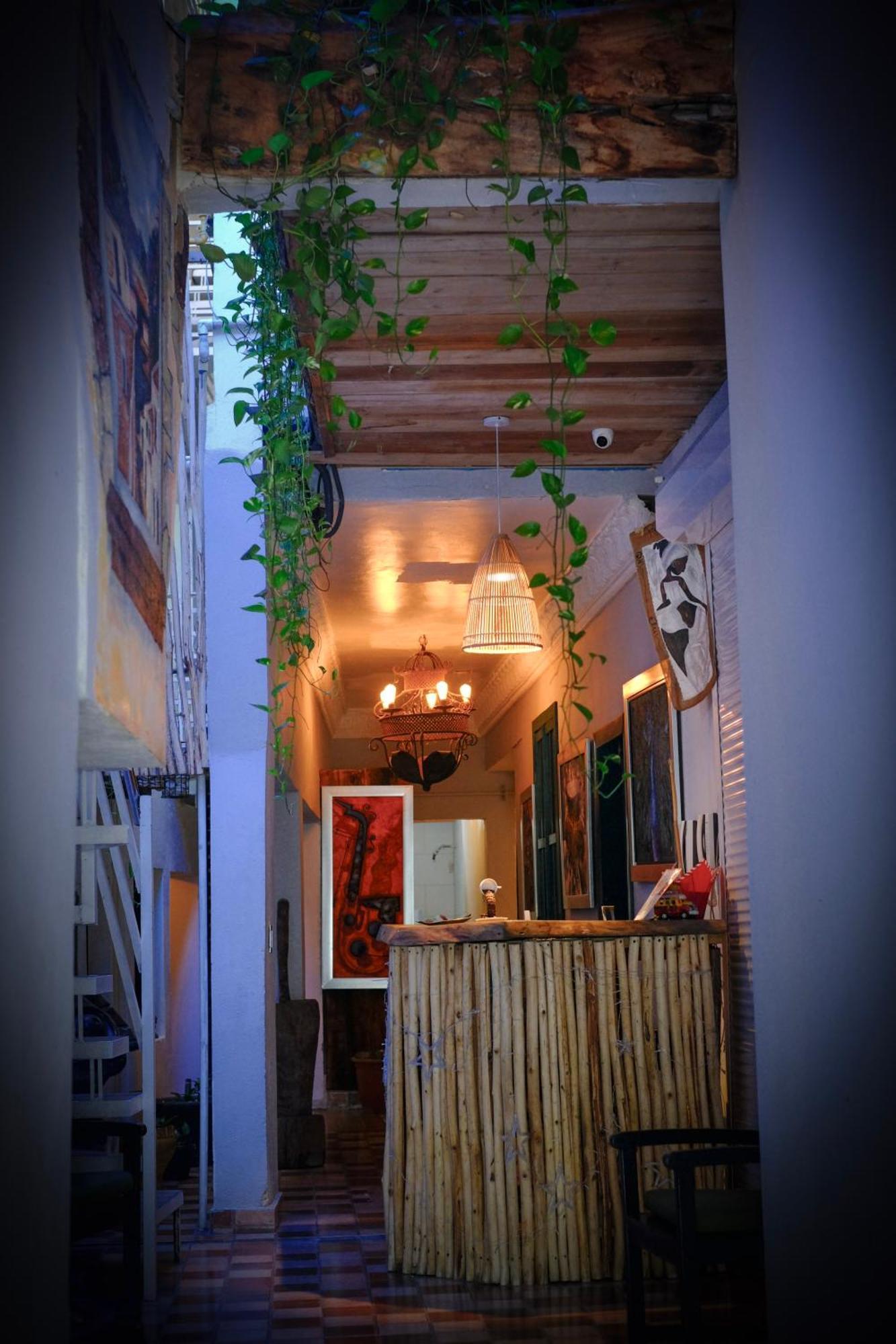 Hostel Gato Colonial سانتو دومينجو المظهر الخارجي الصورة