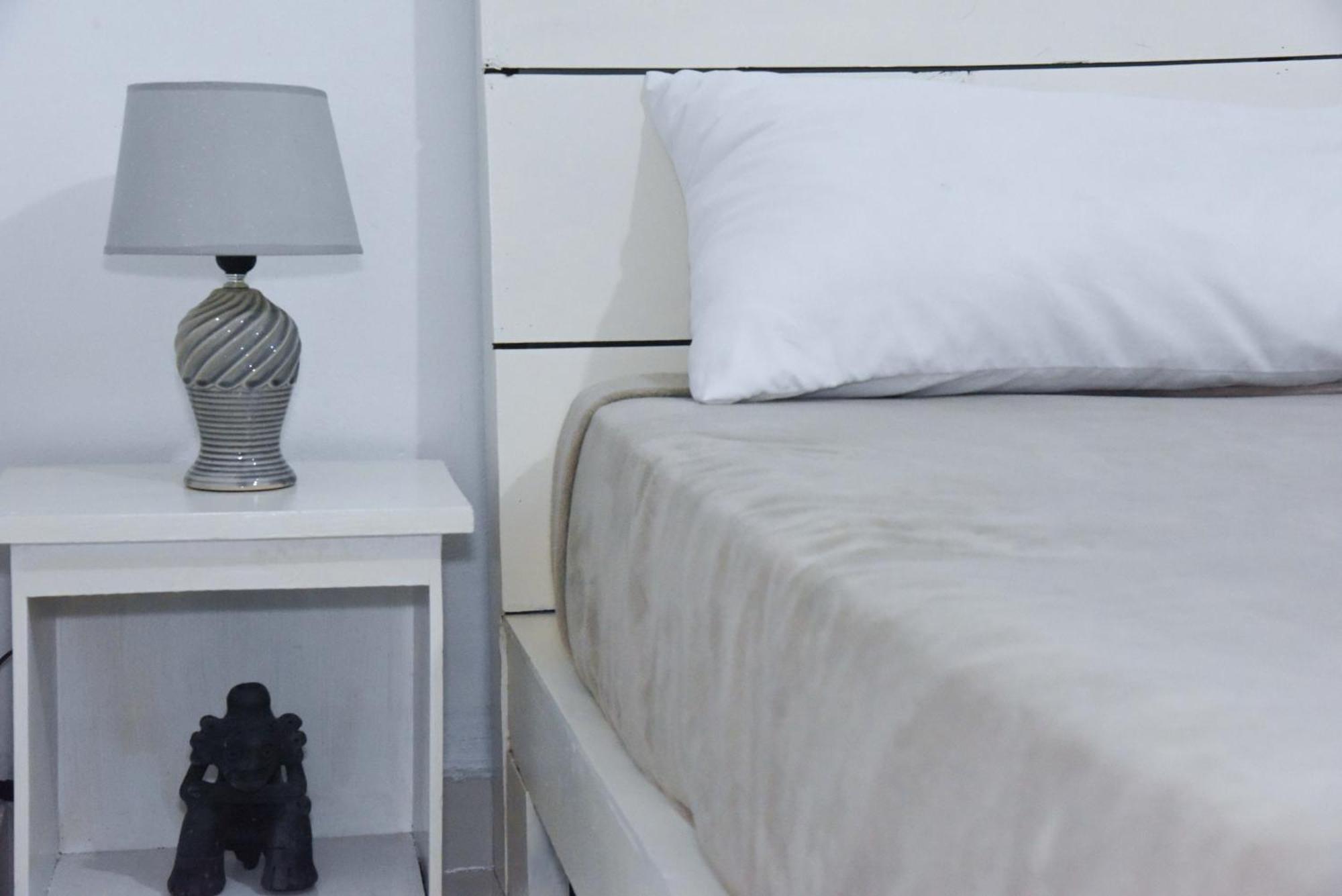 Hostel Gato Colonial سانتو دومينجو المظهر الخارجي الصورة